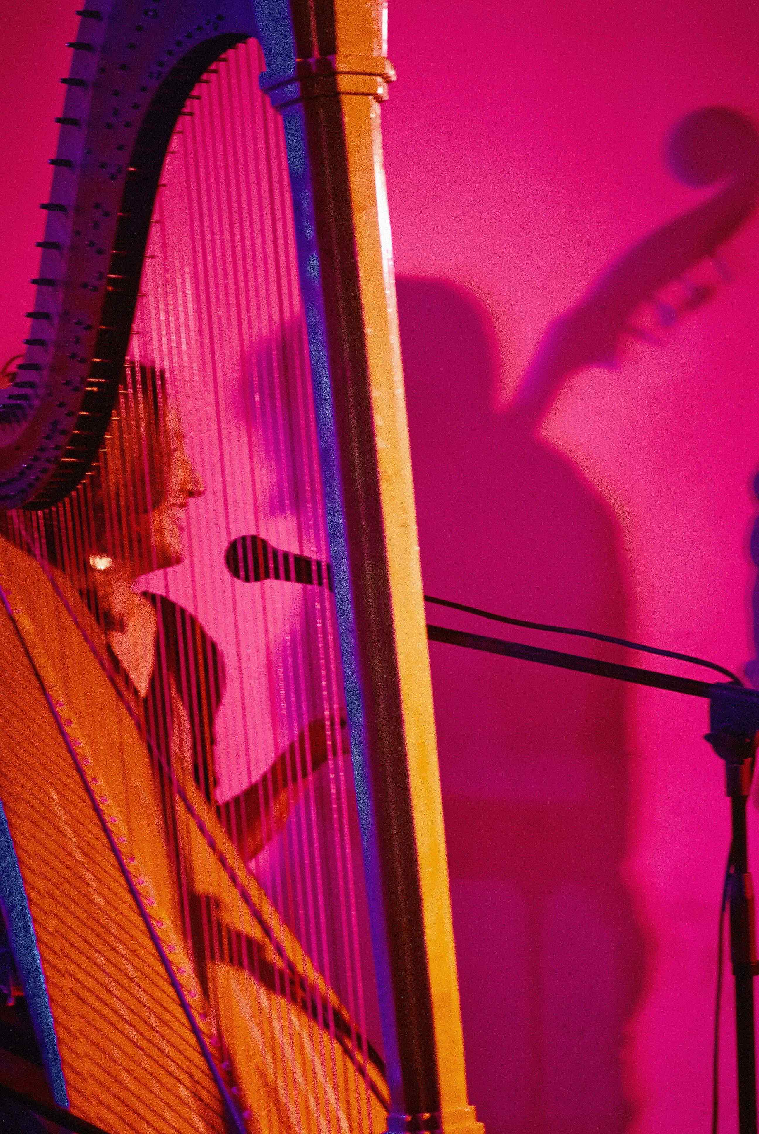 DianePetersMelb  HARPNBASS TIM MC NIELAGE.jpg